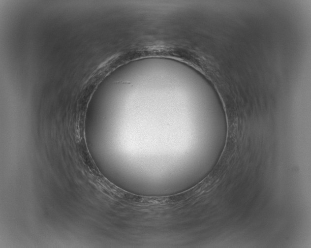 X0000080781205200612151023