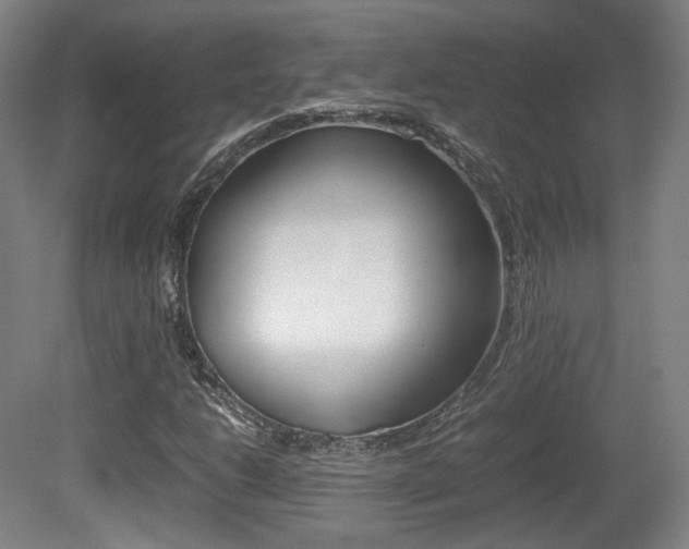 X0000080781206200612151023