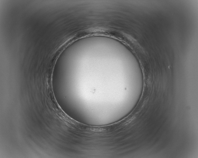 X0000080781209200612151023