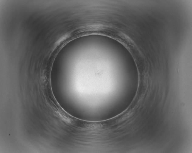 X0000080781210200612151023