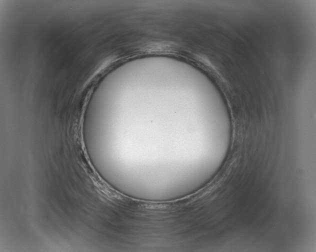 X0000080781211200612151023