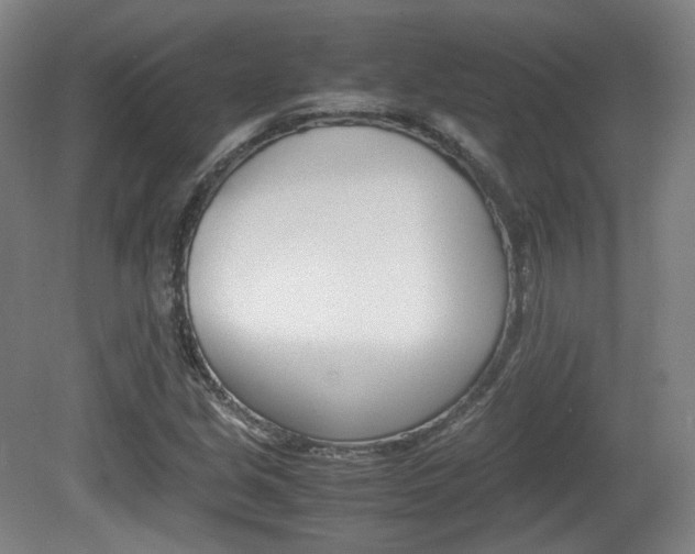 X0000080781213200612151023