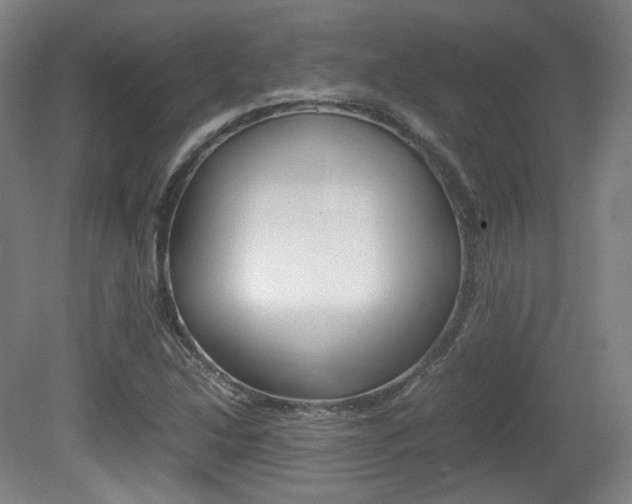 X0000080781214200612151023
