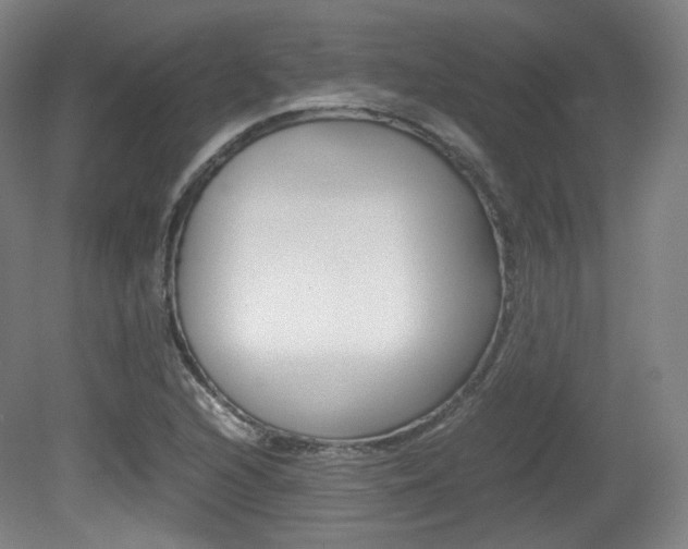 X0000080781216200612151023