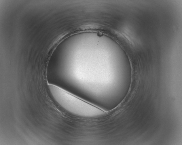X0000080781217200612151023