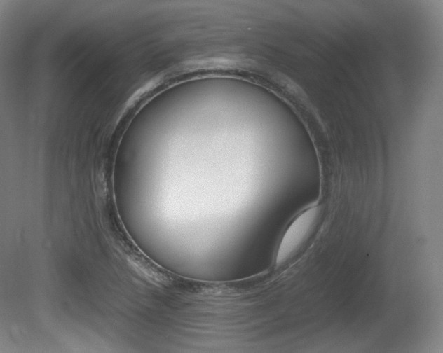 X0000080781218200612151023