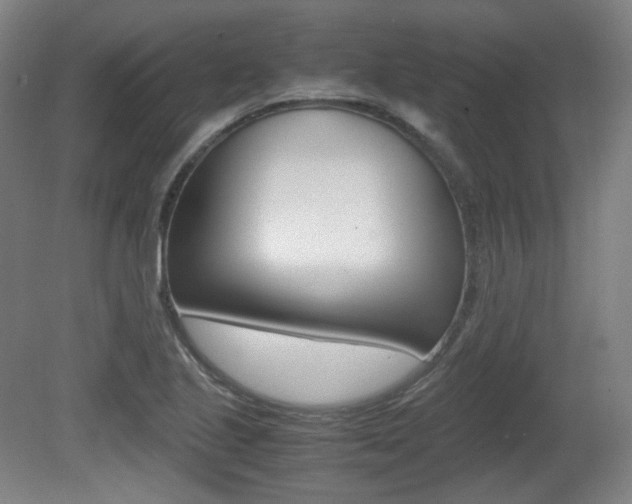 X0000080781221200612151023