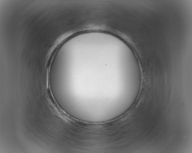 X0000080781223200612151023