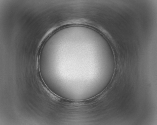 X0000080781224200612151023