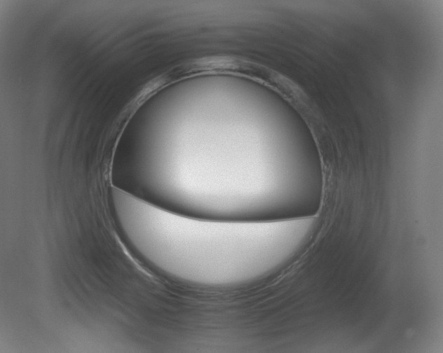 X0000080781225200612151023