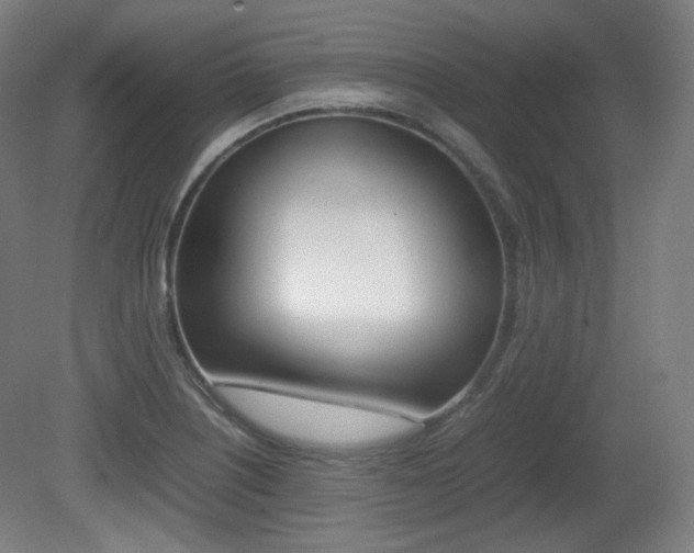 X0000080781226200612151023