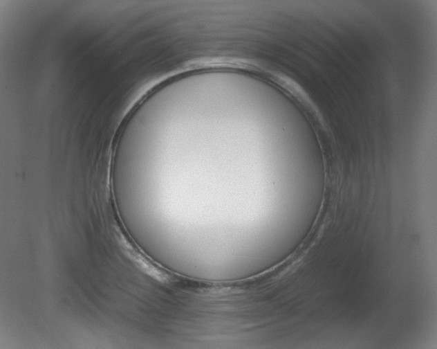 X0000080781228200612151023