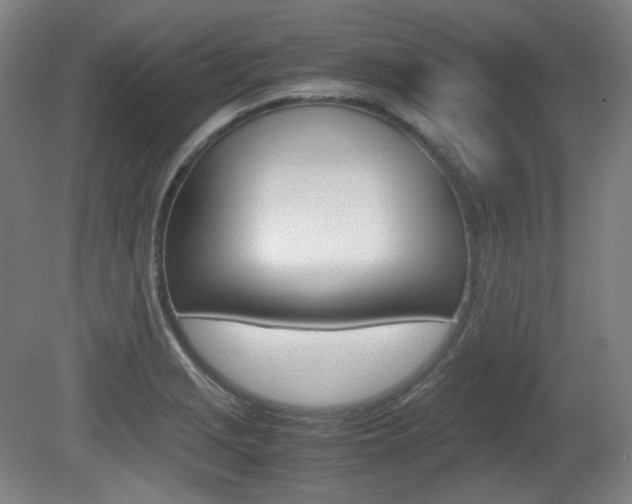 X0000080781229200612151023