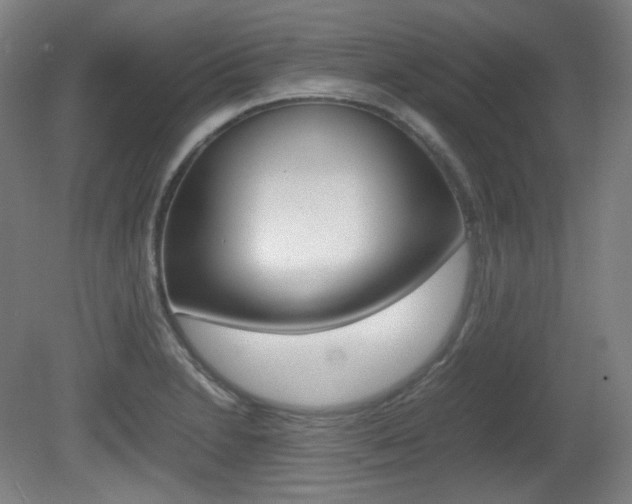 X0000080781230200612151023