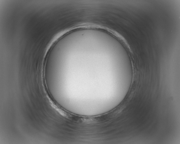 X0000080781231200612151023