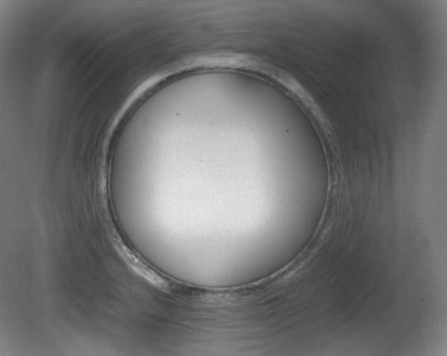 X0000080781232200612151023