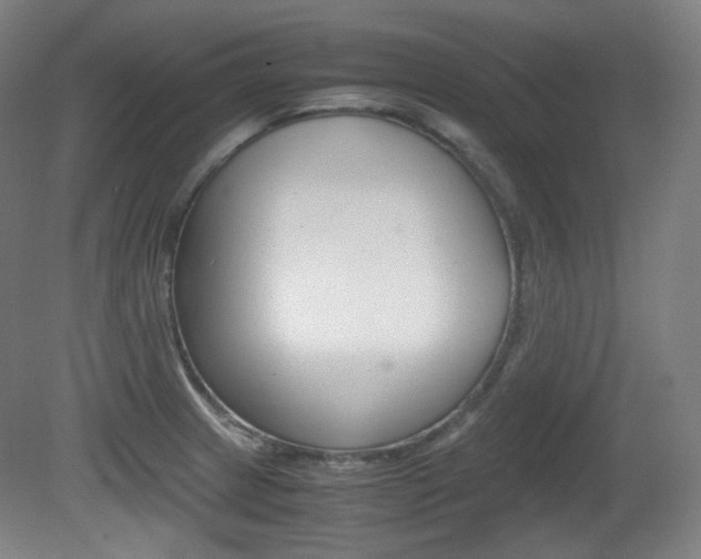 X0000080781233200612151023