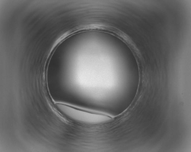 X0000080781234200612151023