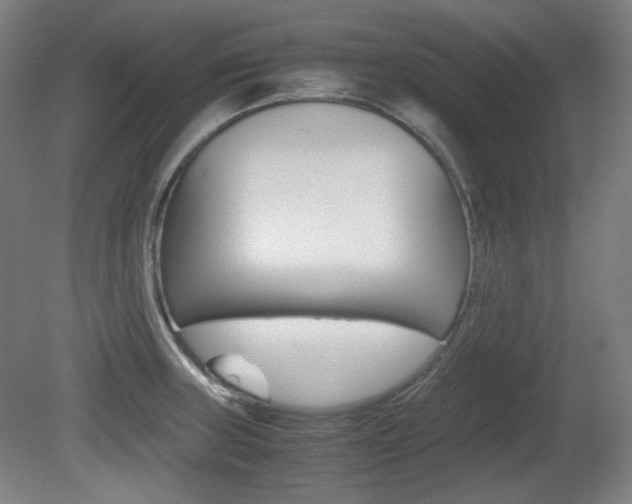 X0000080781235200612151023