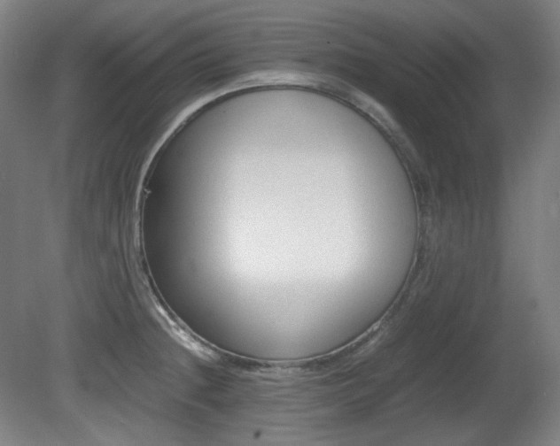X0000080781236200612151023