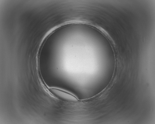 X0000080781238200612151023