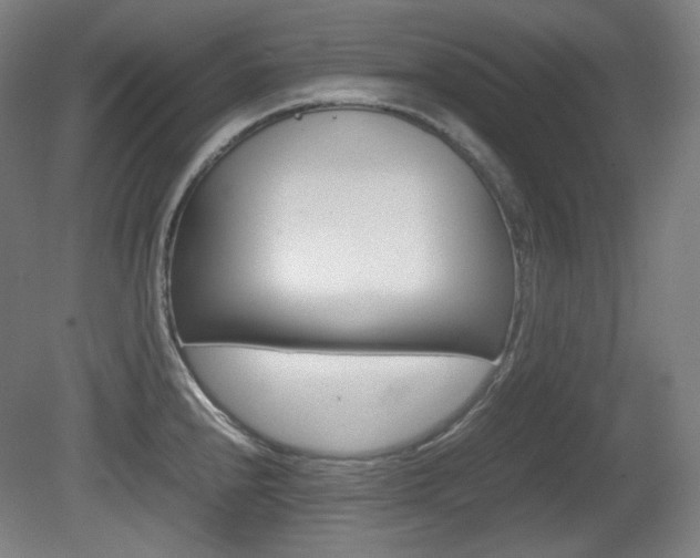 X0000080781240200612151023