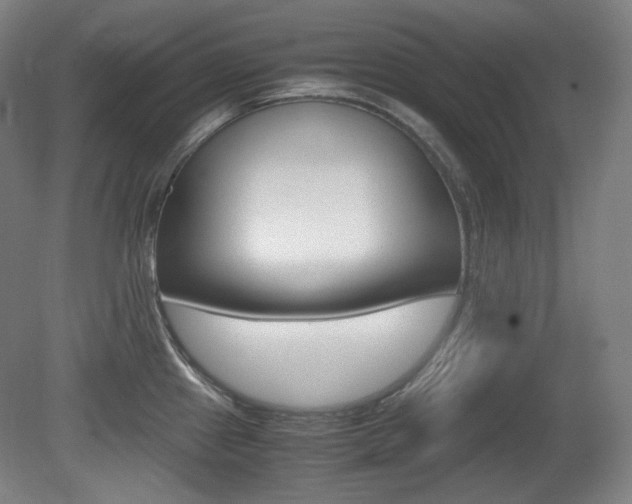 X0000080781241200612151023