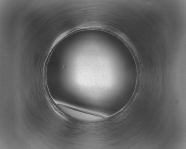 X0000080781242200612151023