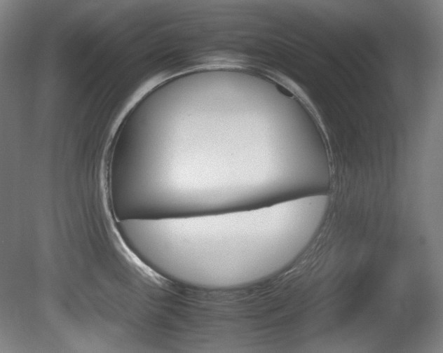 X0000080781243200612151023