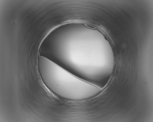 X0000080781244200612151023
