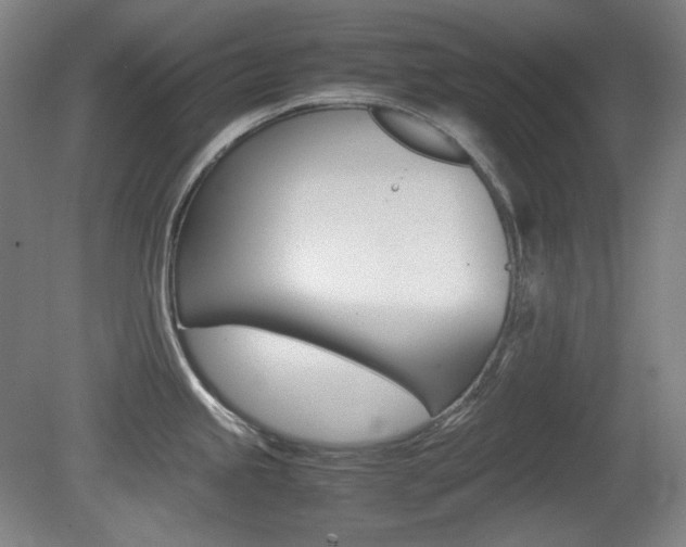 X0000080781245200612151023