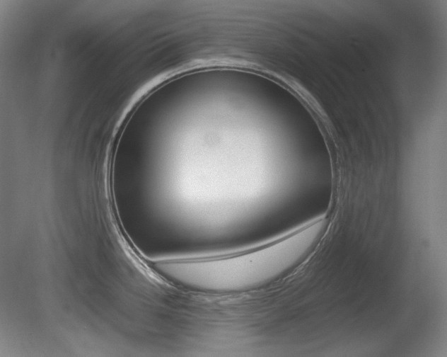 X0000080781246200612151023
