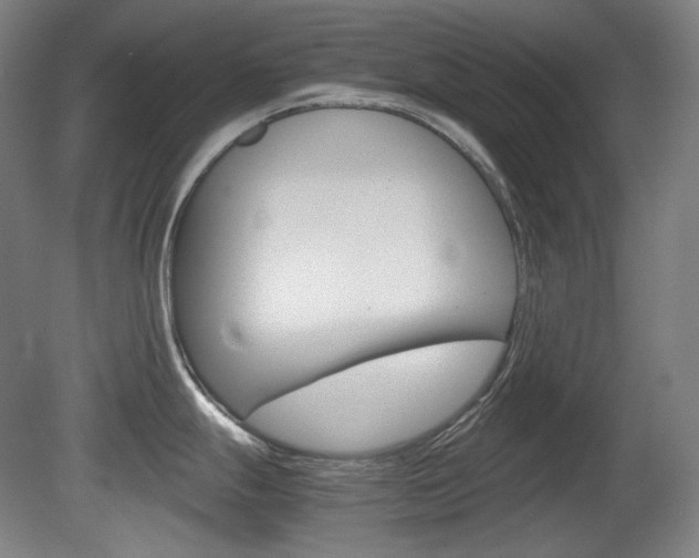 X0000080781247200612151023