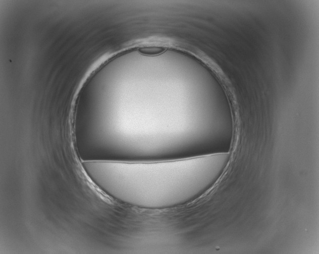 X0000080781248200612151023