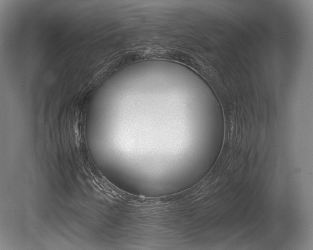 X0000080781250200612151023