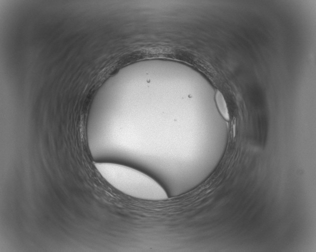 X0000080781251200612151023
