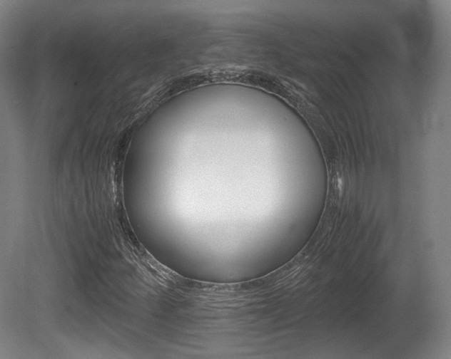 X0000080781252200612151023