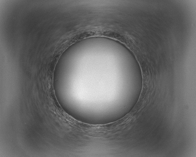 X0000080781253200612151023