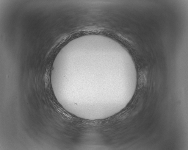 X0000080781254200612151023