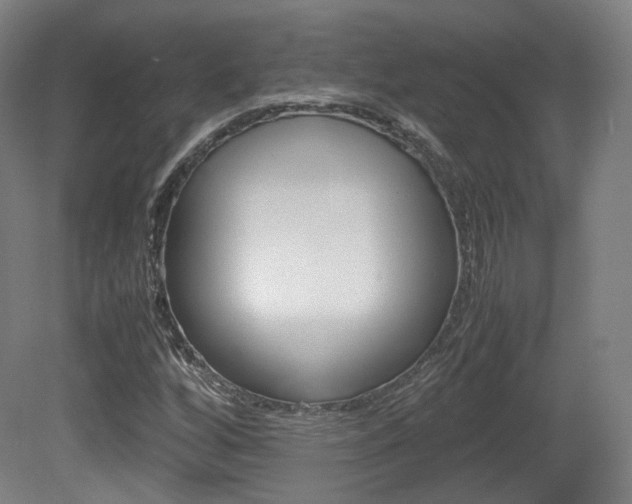 X0000080781256200612151023
