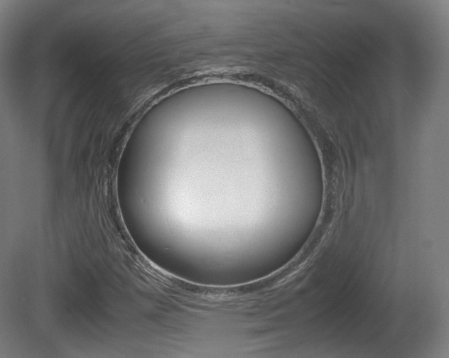 X0000080781257200612151023