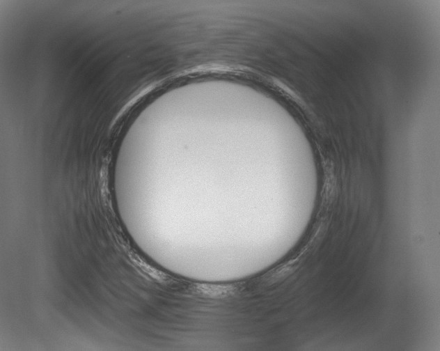 X0000080781258200612151023