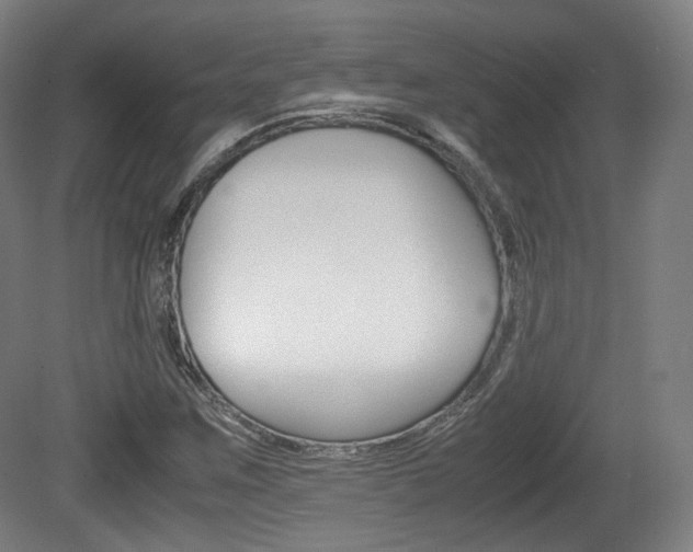 X0000080781259200612151022