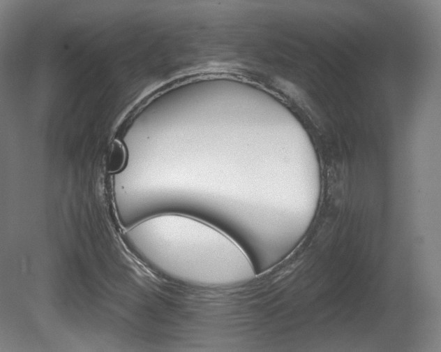 X0000080781260200612151022
