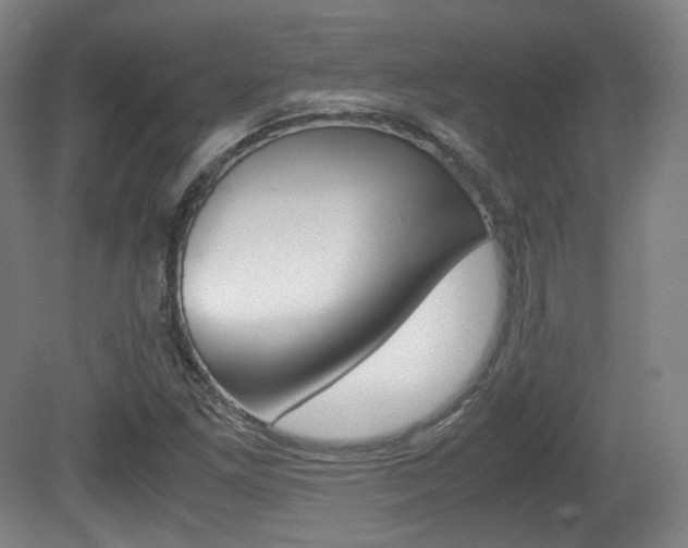 X0000080781261200612151022