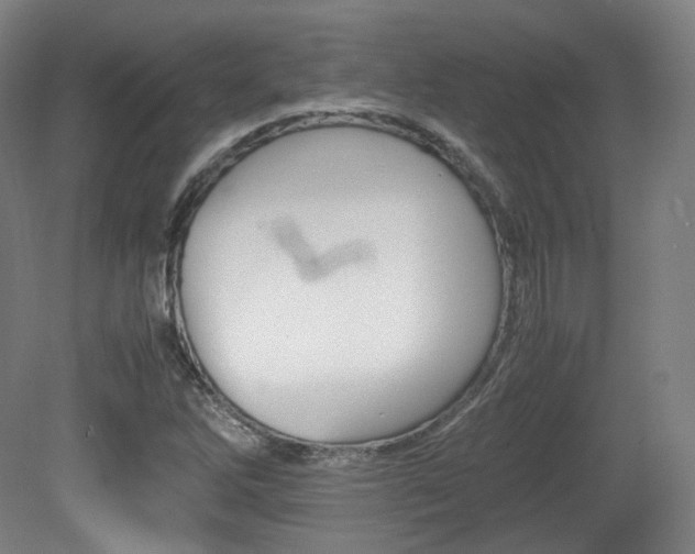 X0000080781262200612151022