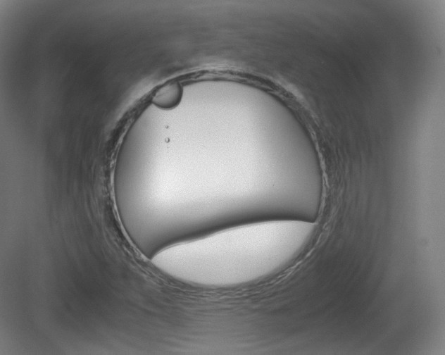 X0000080781263200612151022