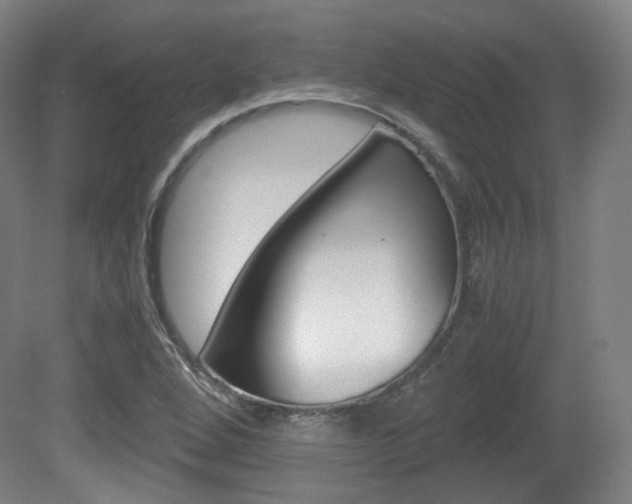 X0000080781264200612151022