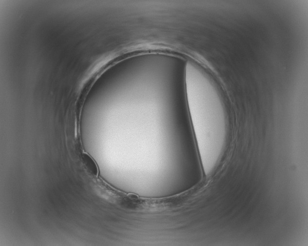 X0000080781269200612151022