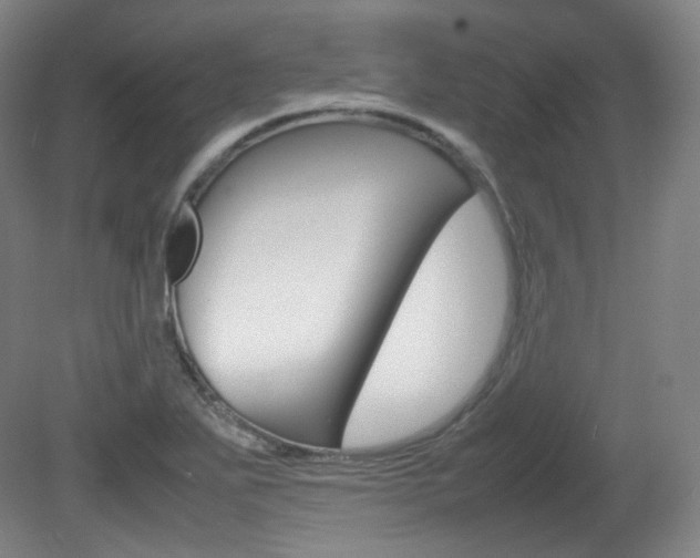 X0000080781271200612151022